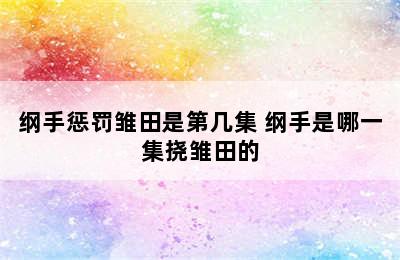 纲手惩罚雏田是第几集 纲手是哪一集挠雏田的